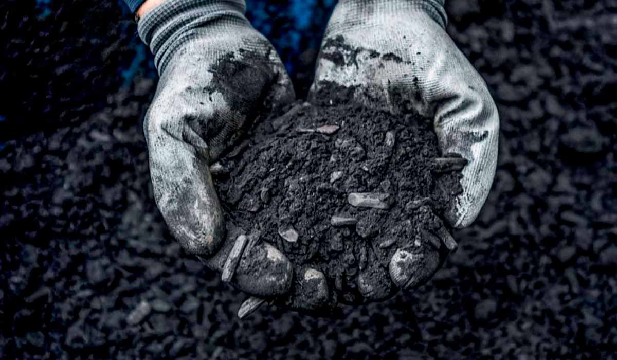 O biochar capta CO2 e se transforma em fertilizante e condicionador do solo