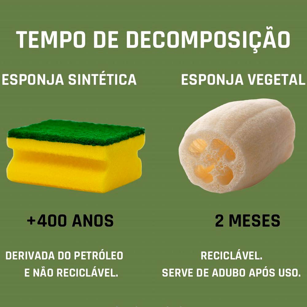 A esponja usada convencionalmente, demora mais de 400 anos para se decompor no meio ambiente e, após o uso, não é reciclada. A esponja vegetal é uma alternativa às sintéticas, se decompõe em 2 meses e serve de adubo - Fonte: Instituto Pindorama