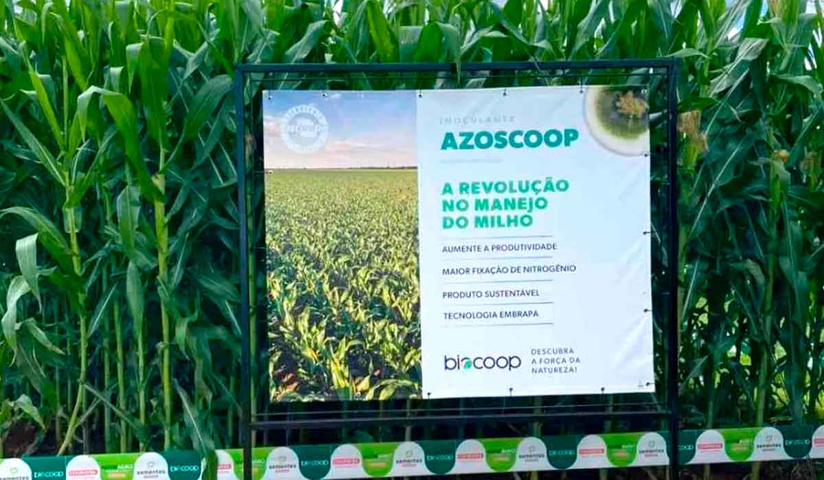 Unidade demonstrativa no Show Rural Coopavel