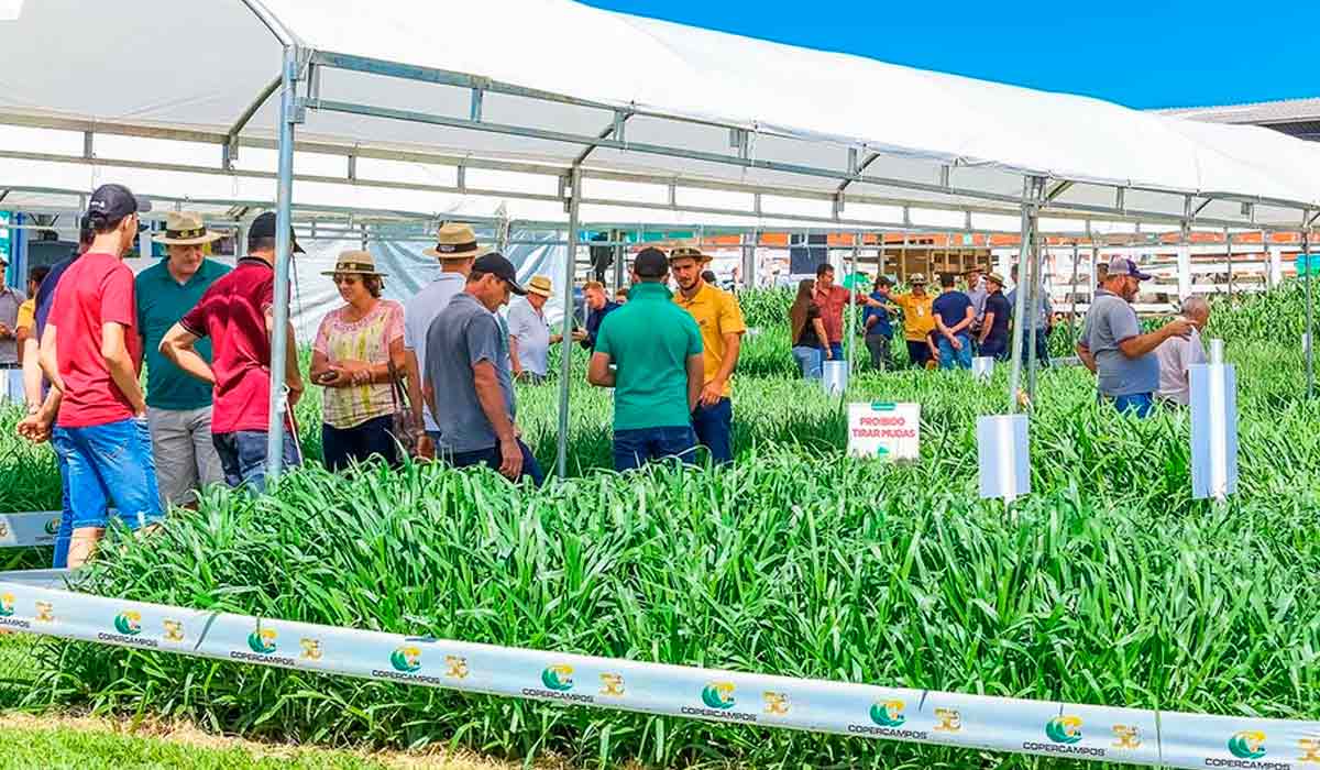 Unidades demonstrativas para o aperfeiçoamento dos visitantes