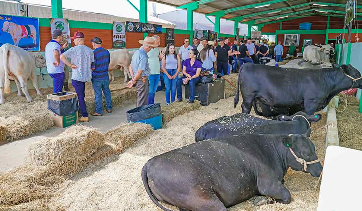 Os animais também estão presentes na feira