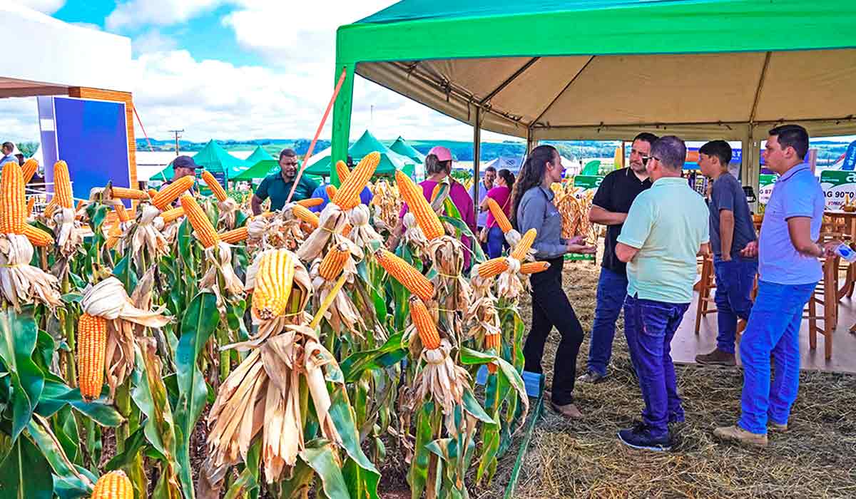 Oportunidade de conhecer os avanços em sementes e cultivares