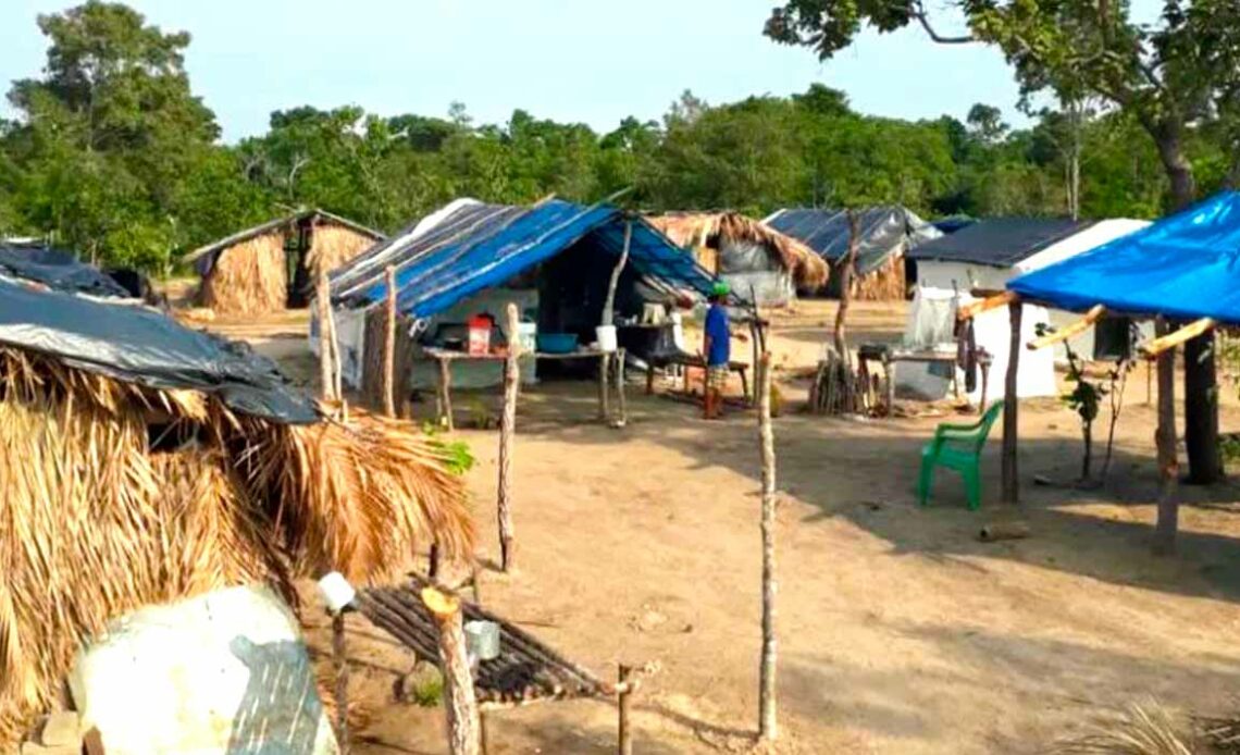 Acampamento em uma área de terra pública da União no norte do Tocantins - Foto: MST