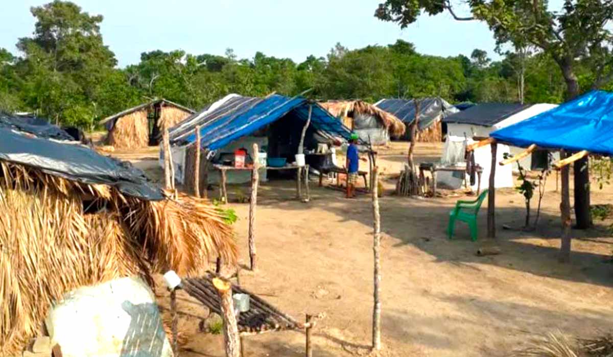 Acampamento em uma área de terra pública da União no norte do Tocantins - Foto: MST