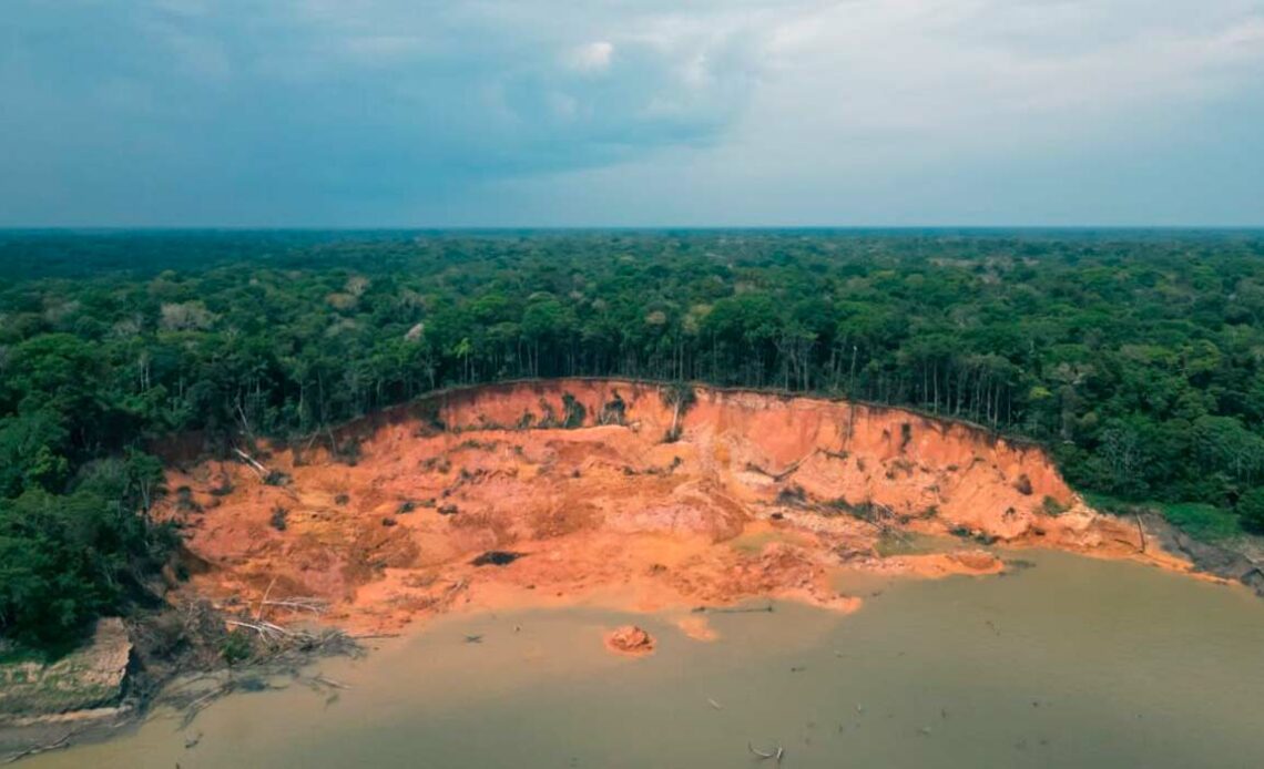 Terras caídas é um processo de erosão que ocorre nas margens dos rios com registros frequentes na Amazônia - Foto: Paula dos Santos Silva/Instituto Mamirauá