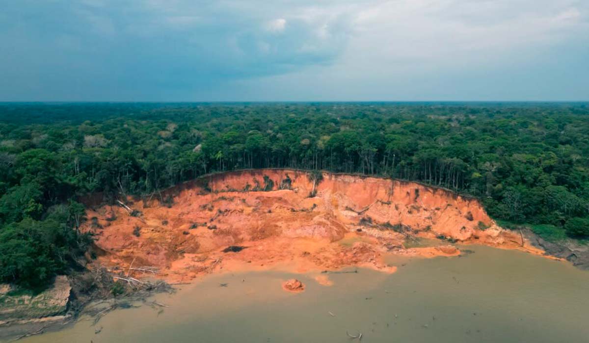 Terras caídas é um processo de erosão que ocorre nas margens dos rios com registros frequentes na Amazônia - Foto: Paula dos Santos Silva/Instituto Mamirauá