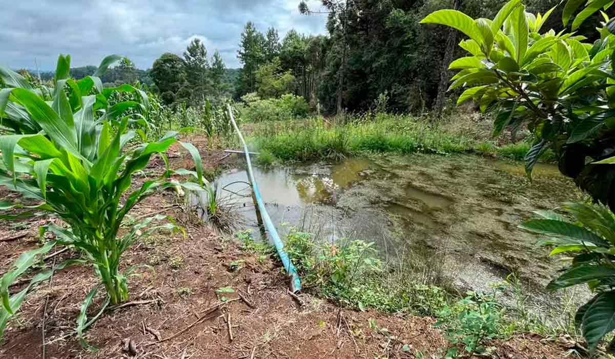 Açude poluído junto ao alojamento em que os trabalhadores estavam em São Marcos - Foto: Ministério do Trabalho e Emprego (MTE)