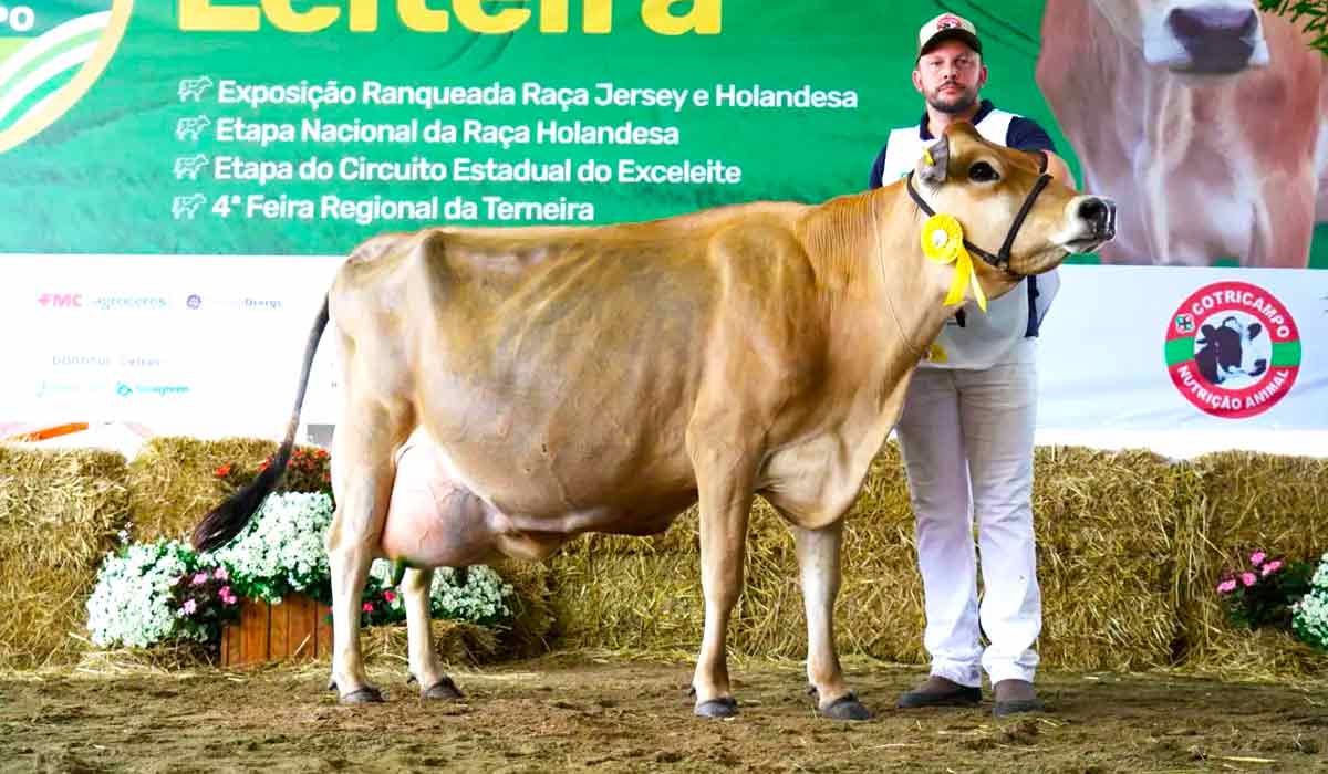 A jersey Guardiã D’Artagnan recordista na 9ª ExpoAgro Cotricampo