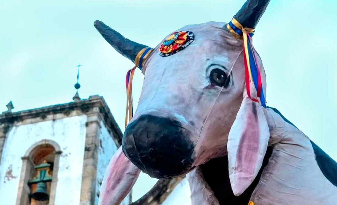 Boi de Pano de Paraty