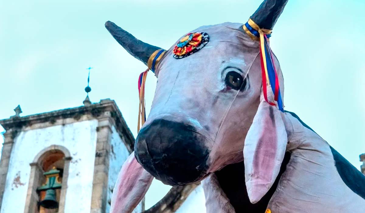 Boi de Pano de Paraty