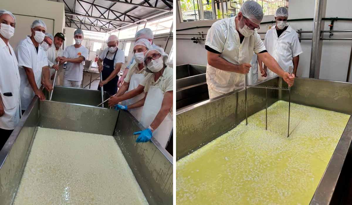 Maior queijo prato do mundo começou a ser fabricado em Valença - Foto: Associação dos Queijeiros de Valença (AQV)